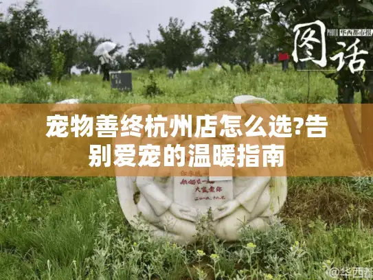 宠物善终杭州店怎么选?告别爱宠的温暖指南