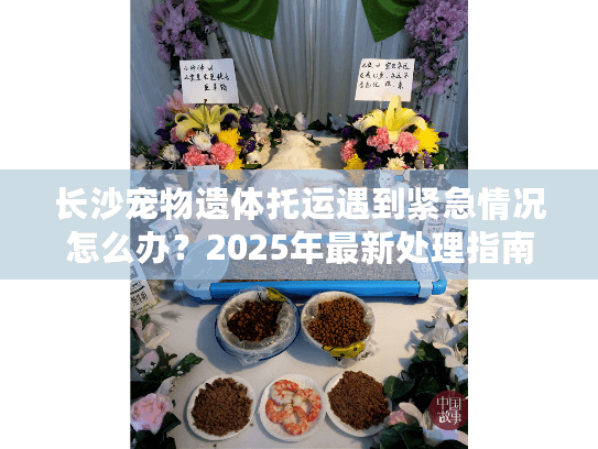 长沙宠物遗体托运遇到紧急情况怎么办?2025年最新处理指南 长沙宠物遗体托运遇到紧急情况怎么办?2025年最新处理指南