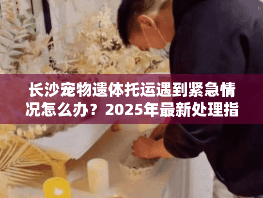 长沙宠物遗体托运遇到紧急情况怎么办?2025年最新处理指南 长沙宠物遗体托运遇到紧急情况怎么办?2025年最新处理指南