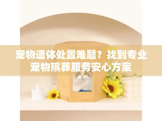 宠物遗体处置难题？找到专业宠物殡葬服务安心方案