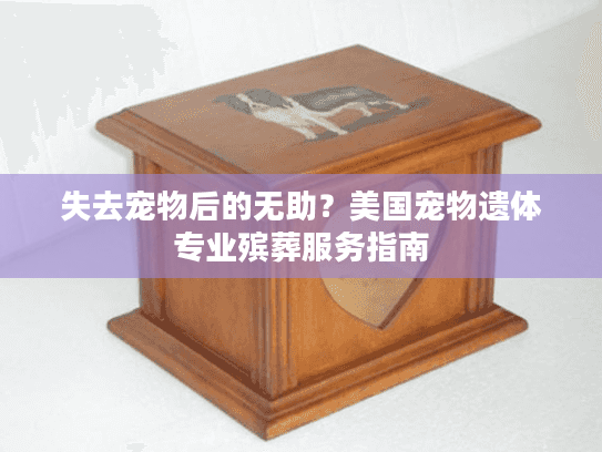 失去宠物后的无助？美国宠物遗体专业殡葬服务指南