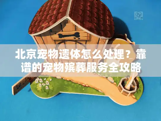 北京宠物遗体怎么处理？靠谱的宠物殡葬服务全攻略