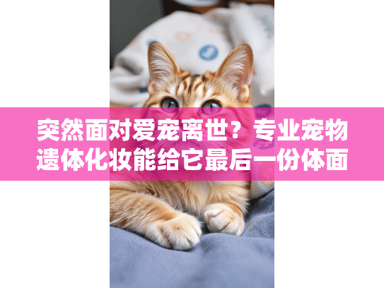 突然面对爱宠离世？专业宠物遗体化妆能给它最后一份体面