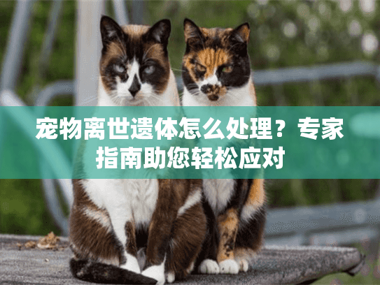 宠物离世遗体怎么处理?专家指南助您轻松应对 宠物离世遗体怎么处理?专家指南助您轻松应对
