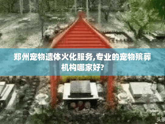 郑州宠物遗体火化服务,专业的宠物殡葬机构哪家好? 郑州宠物遗体火化服务,专业的宠物殡葬机构哪家好?