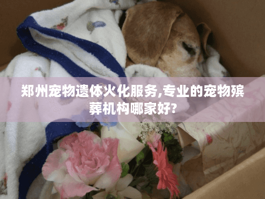 郑州宠物遗体火化服务,专业的宠物殡葬机构哪家好? 郑州宠物遗体火化服务,专业的宠物殡葬机构哪家好?