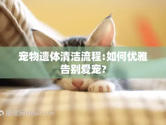 宠物遗体清洁流程:如何优雅告别爱宠?