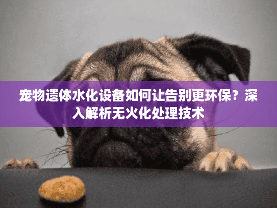宠物遗体水化设备如何让告别更环保？深入解析无火化处理技术