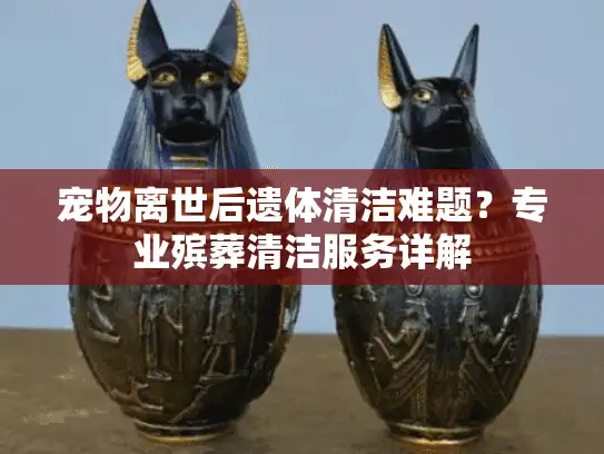 宠物离世后遗体清洁难题？专业殡葬清洁服务详解