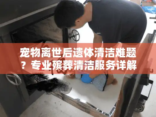宠物离世后遗体清洁难题？专业殡葬清洁服务详解