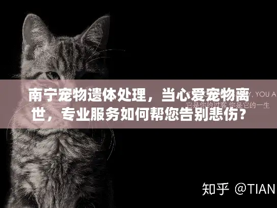 南宁宠物遗体处理，当心爱宠物离世，专业服务如何帮您告别悲伤？