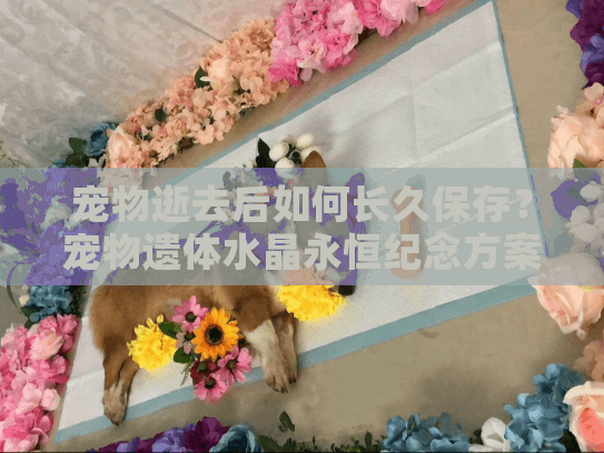 宠物逝去后如何长久保存?宠物遗体水晶永恒纪念方案揭晓 宠物逝去后如何长久保存?宠物遗体水晶永恒纪念方案揭晓