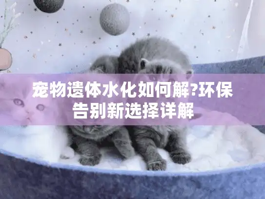 宠物遗体水化如何解?环保告别新选择详解