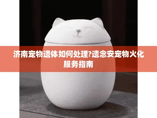 济南宠物遗体如何处理?遗念安宠物火化服务指南