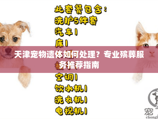天津宠物遗体如何处理?专业殡葬服务推荐指南 天津宠物遗体如何处理?专业殡葬服务推荐指南