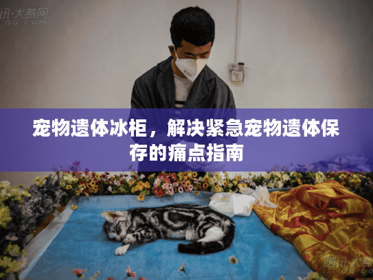 宠物遗体冰柜，解决紧急宠物遗体保存的痛点指南