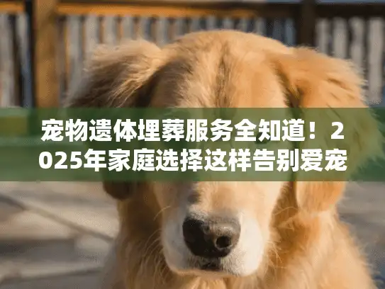 宠物遗体埋葬服务全知道！2025年家庭选择这样告别爱宠
