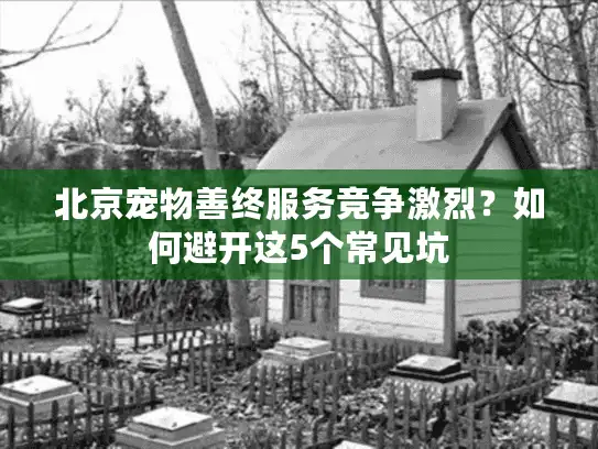 北京宠物善终服务竞争激烈？如何避开这5个常见坑