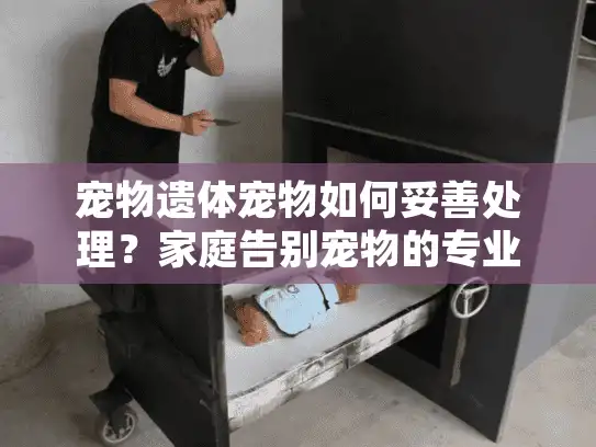 宠物遗体宠物如何妥善处理？家庭告别宠物的专业指南
