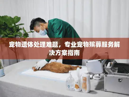 宠物遗体处理难题，专业宠物殡葬服务解决方案指南