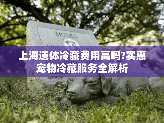上海遗体冷藏费用高吗?实惠宠物冷藏服务全解析