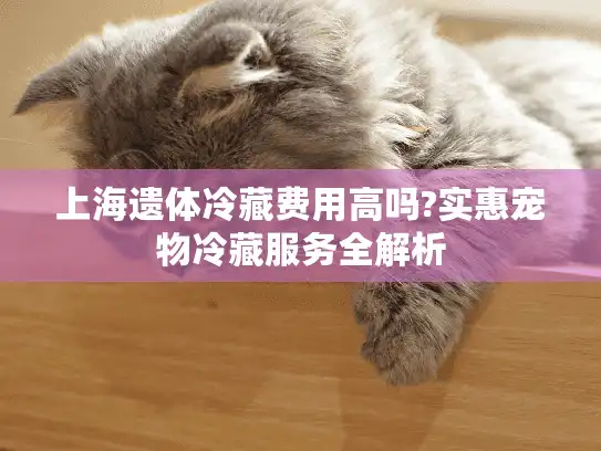 上海遗体冷藏费用高吗?实惠宠物冷藏服务全解析