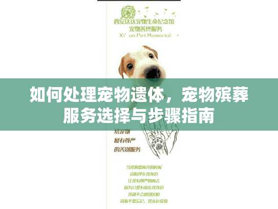 如何处理宠物遗体，宠物殡葬服务选择与步骤指南