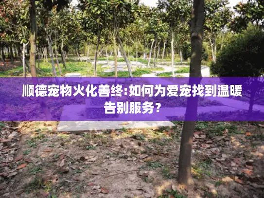 顺德宠物火化善终:如何为爱宠找到温暖告别服务？
