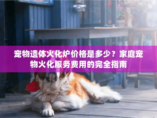 宠物遗体火化炉价格是多少？家庭宠物火化服务费用的完全指南
