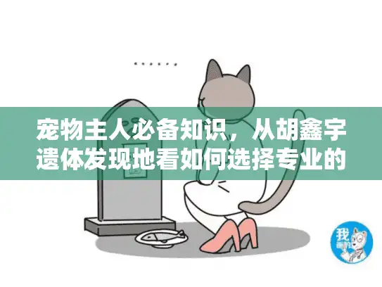 宠物主人必备知识，从胡鑫宇遗体发现地看如何选择专业的宠物殡葬服务