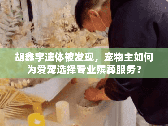 胡鑫宇遗体被发现，宠物主如何为爱宠选择专业殡葬服务？
