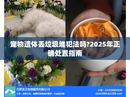 宠物遗体丢垃圾堆犯法吗?2025年正确处置指南