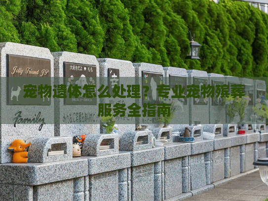 宠物遗体怎么处理？专业宠物殡葬服务全指南