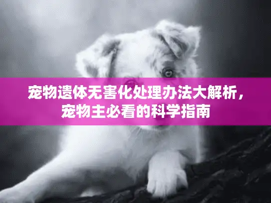宠物遗体无害化处理办法大解析,宠物主必看的科学指南 宠物遗体无害化处理办法大解析,宠物主必看的科学指南