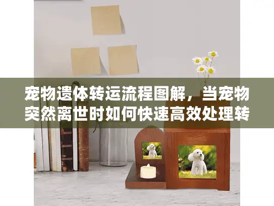 宠物遗体转运流程图解,当宠物突然离世时如何快速高效处理转运难题 宠物遗体转运流程图解,当宠物突然离世时如何快速高效处理转运难题