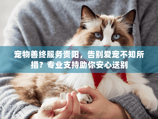 宠物善终服务贵阳，告别爱宠不知所措？专业支持助你安心送别