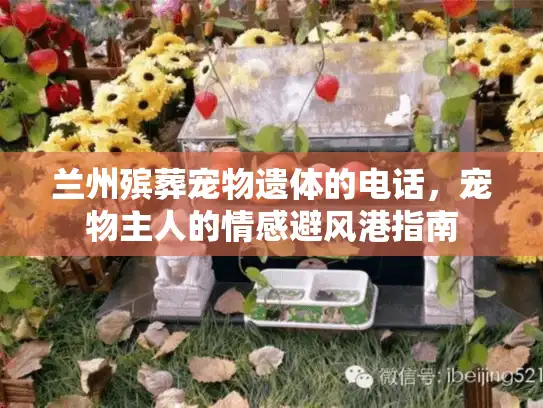 兰州殡葬宠物遗体的电话，宠物主人的情感避风港指南