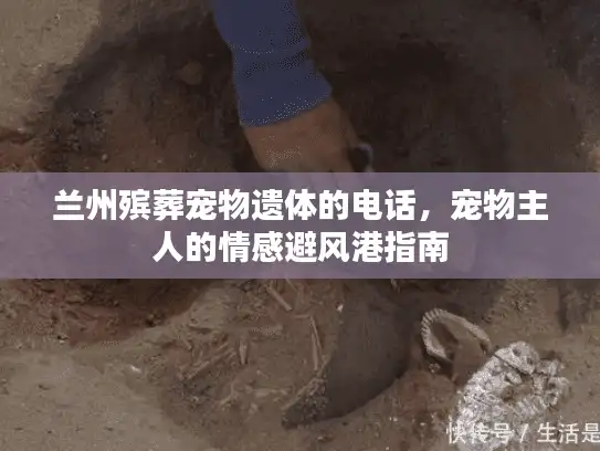 兰州殡葬宠物遗体的电话，宠物主人的情感避风港指南