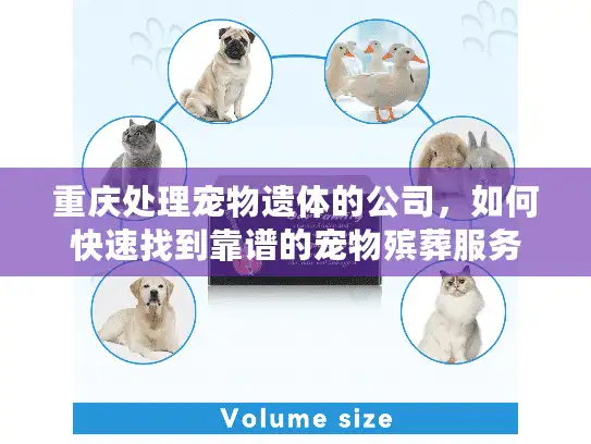 重庆处理宠物遗体的公司，如何快速找到靠谱的宠物殡葬服务