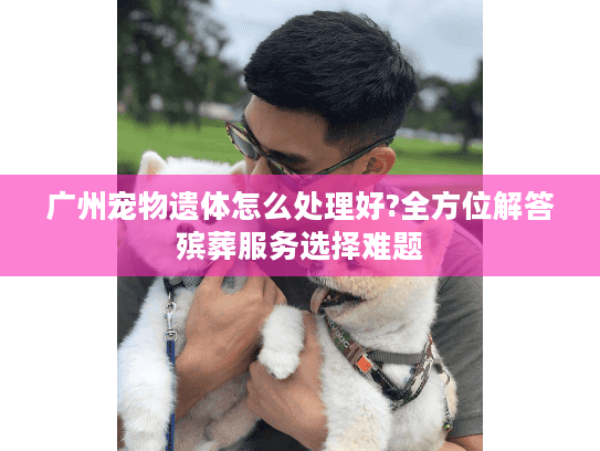广州宠物遗体怎么处理好?全方位解答殡葬服务选择难题