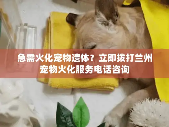 急需火化宠物遗体？立即拨打兰州宠物火化服务电话咨询