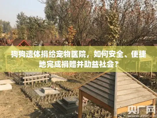 狗狗遗体捐给宠物医院，如何安全、便捷地完成捐赠并助益社会？
