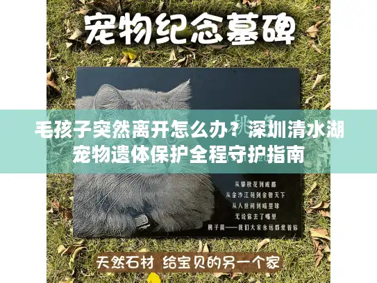 毛孩子突然离开怎么办？深圳清水湖宠物遗体保护全程守护指南