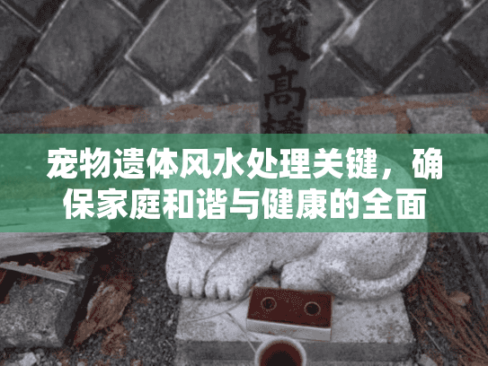 宠物遗体风水处理关键，确保家庭和谐与健康的全面指南