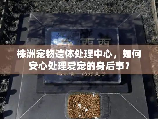 株洲宠物遗体处理中心，如何安心处理爱宠的身后事？