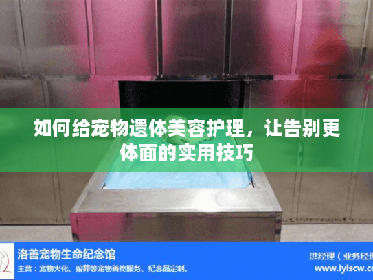 如何给宠物遗体美容护理，让告别更体面的实用技巧