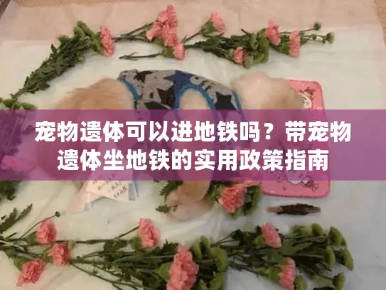 宠物遗体可以进地铁吗？带宠物遗体坐地铁的实用政策指南