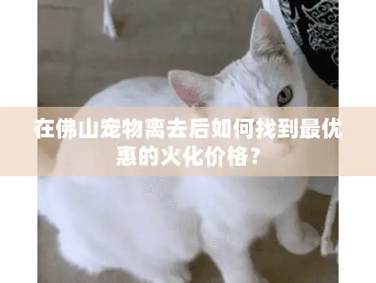 在佛山宠物离去后如何找到最优惠的火化价格？