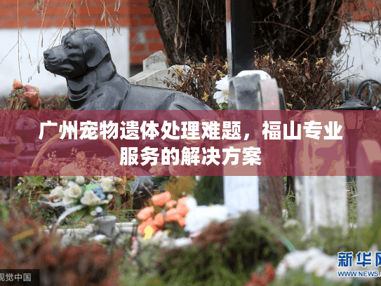 广州宠物遗体处理难题，福山专业服务的解决方案