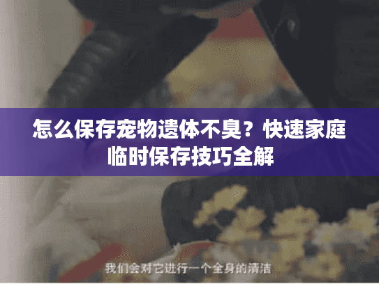 怎么保存宠物遗体不臭?快速家庭临时保存技巧全解 怎么保存宠物遗体不臭?快速家庭临时保存技巧全解